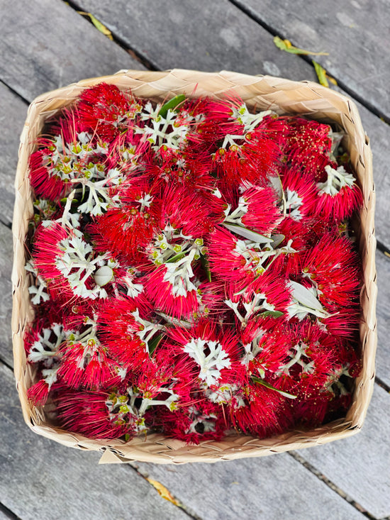 Pohutukawa Flowers gathered after the first bloom.  These flowers are infused in sweet almond oil and ground down into the Pohutukawa powder used to colour the Pohutukawa soap.  The flower yields a high amount of Vitamin C.