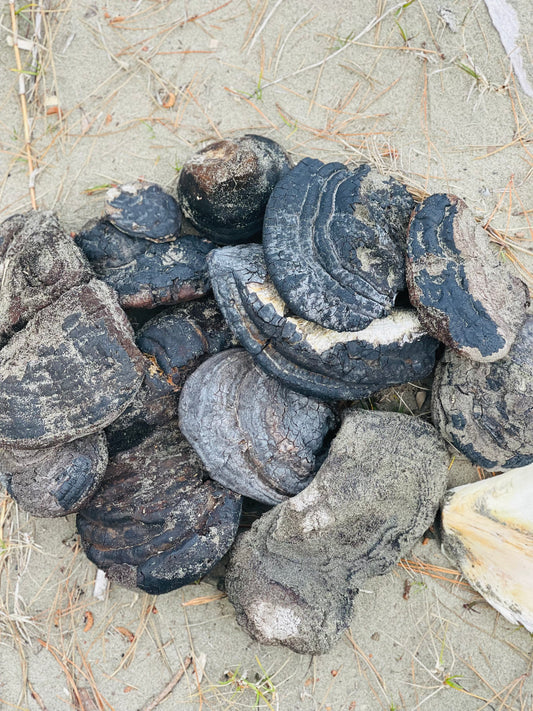 Pakaiahi Soap (Ganoderma Applanatum)